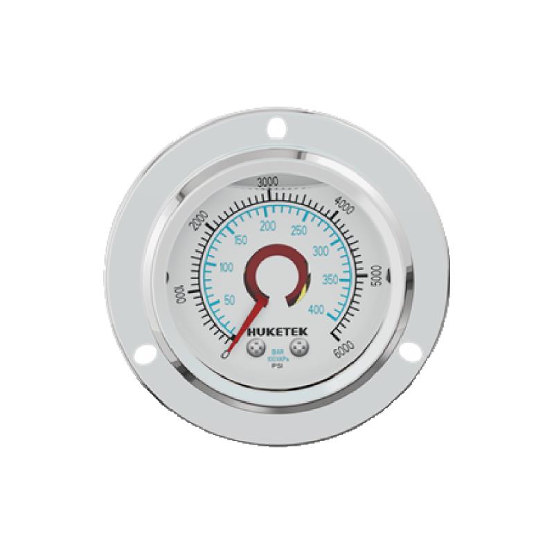 L107F SS Case Sensored Pressure Gauge