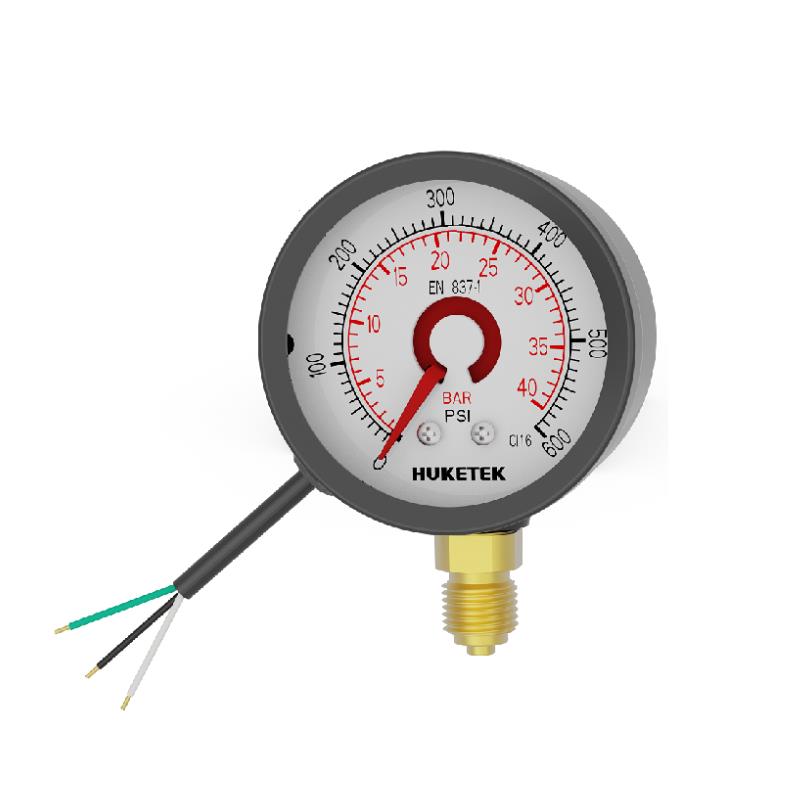 L201A Mild Steel Case Sensored Pressure Gauge