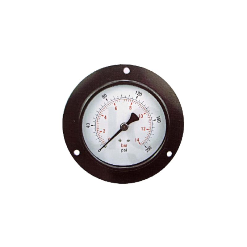 201F Appuyez sur le manom&egrave;tre standard avec bo&icirc;tier en acier doux