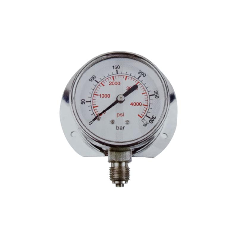 261C Press-on All SS Standard Pressure Gauge