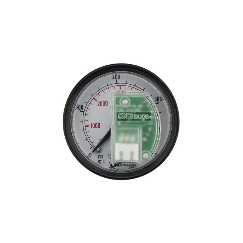 CNG201D CNG Back Mount Sensored manometer